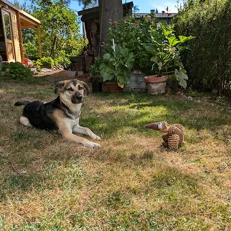 20qmchemnitz Apartament *