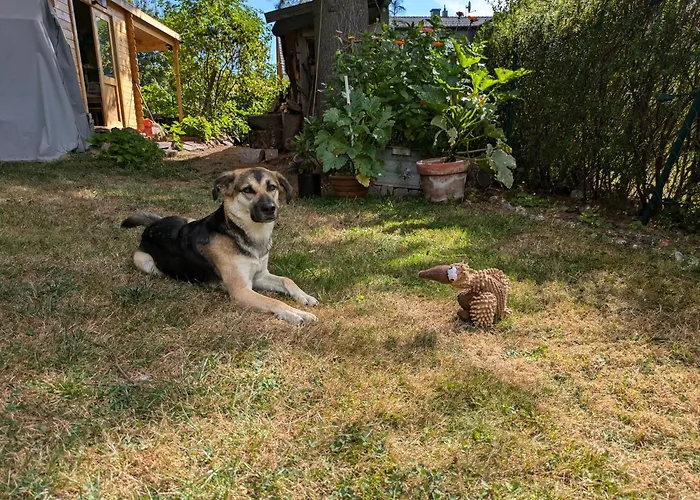 20qmchemnitz Apartament *